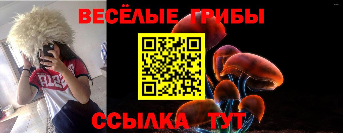 Топки  Псилоцибиновые грибы GOLDEN TEACHER  Вход с VPN  Псилоцибиновые грибы Magic Shrooms 